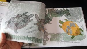 Nacimientos bestiales