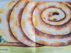 el gran libro de los animales gigantes